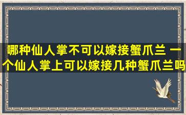 哪种仙人掌不可以嫁接蟹爪兰 一个仙人掌上可以嫁接几种蟹爪兰吗